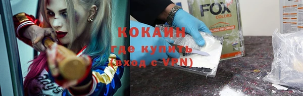 шишки Бронницы