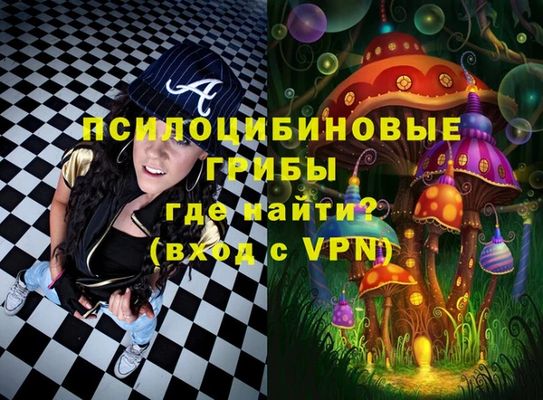 шишки Бронницы