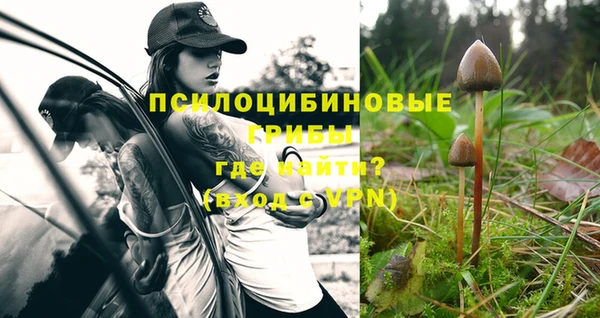 шишки Бронницы