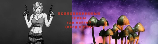 шишки Бронницы