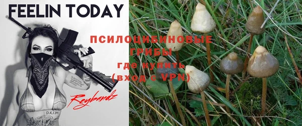крисы Бугульма