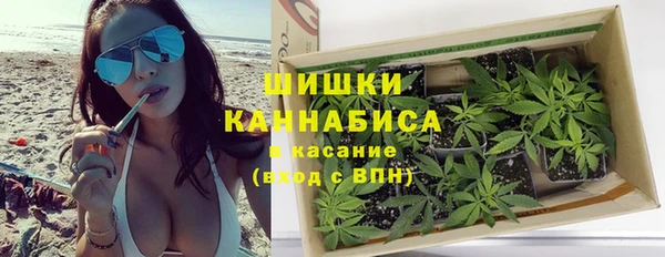 шишки Бронницы