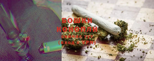 шишки Бронницы