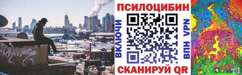 Купить закладки  Мезень  Псилоцибиновые грибы GOLDEN TEACHER 